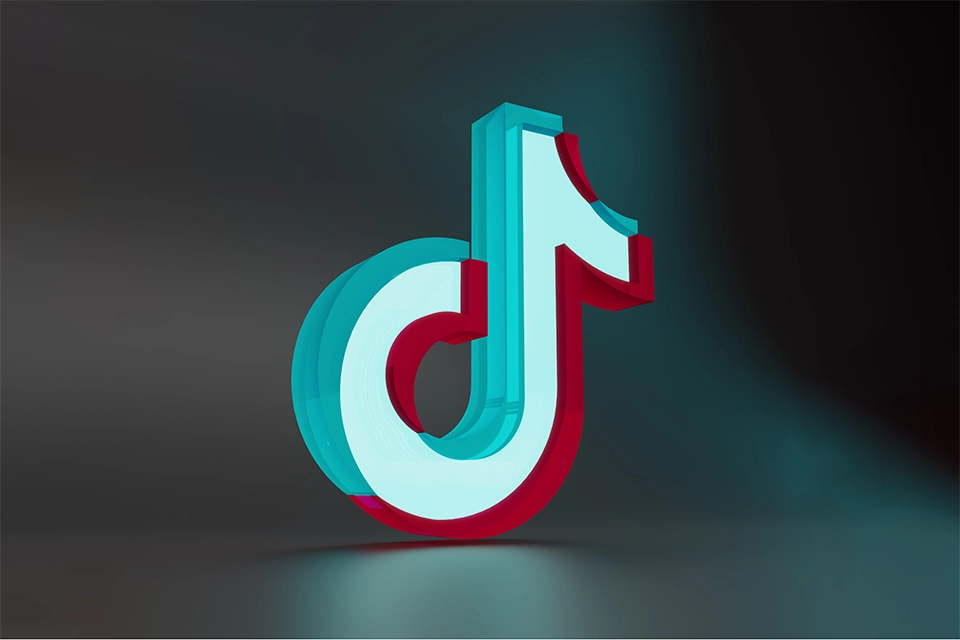 TikTok logo to symbolize TikTok content categories