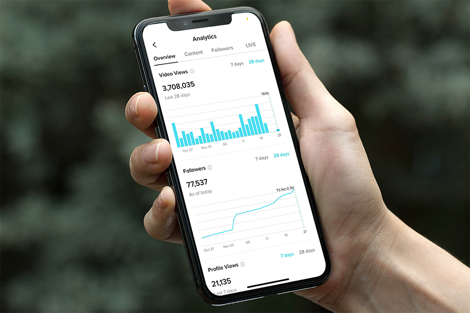 Hand holding a phone with TikTok analytics on it