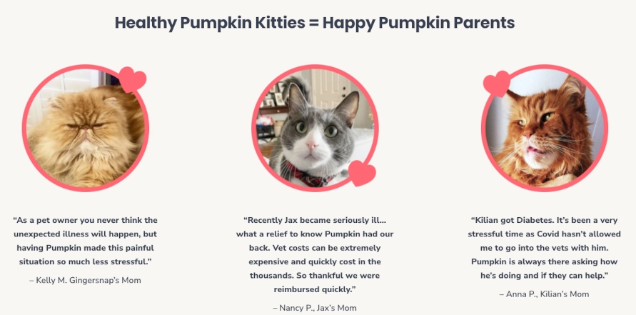Pumpkin reviews