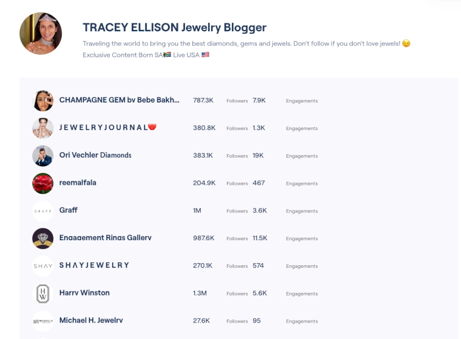 Screenshot of influencer lookalike tool