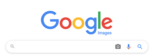 Google search bar